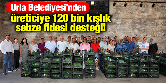 Urla Belediyesi'nden üreticiye 120 bin kışlık sebze fidesi desteği!