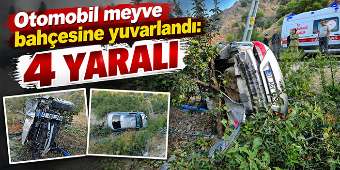 Otomobil meyve bahçesine yuvarlandı: 4 yaralı
