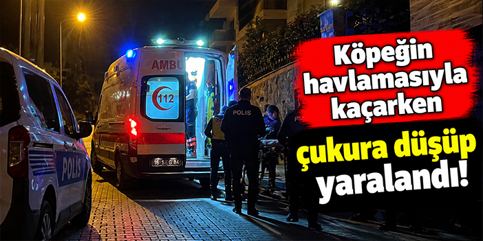 Köpeğin havlamasıyla kaçarken çukura düşüp yaralandı!