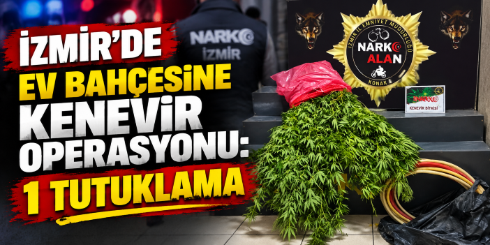 İzmir'de ev bahçesine kenevir operasyonu: 1 tutuklama
