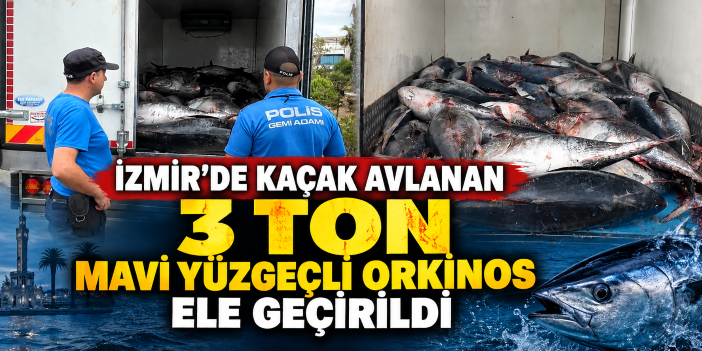 İzmir’de kaçak avlanan 3 ton mavi yüzgeçli orkinos ele geçirildi