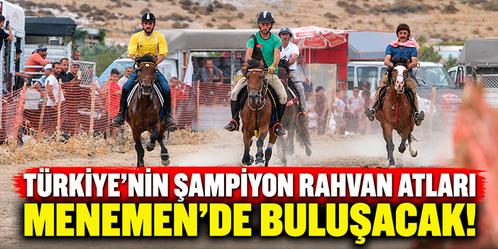 Türkiye’nin şampiyon rahvan atları Menemen’de buluşacak!