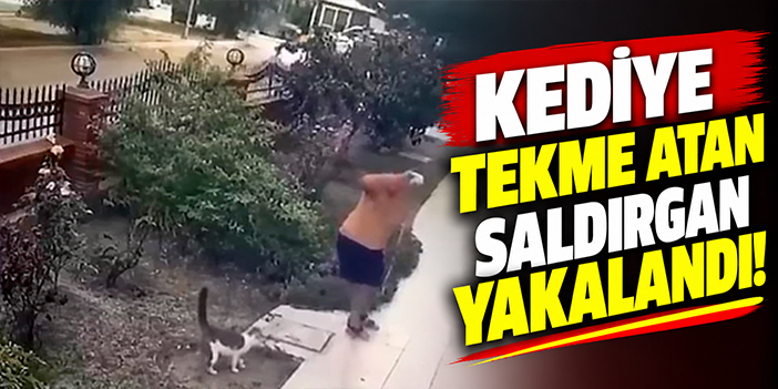 Kediye tekme atan saldırgan yakalandı!