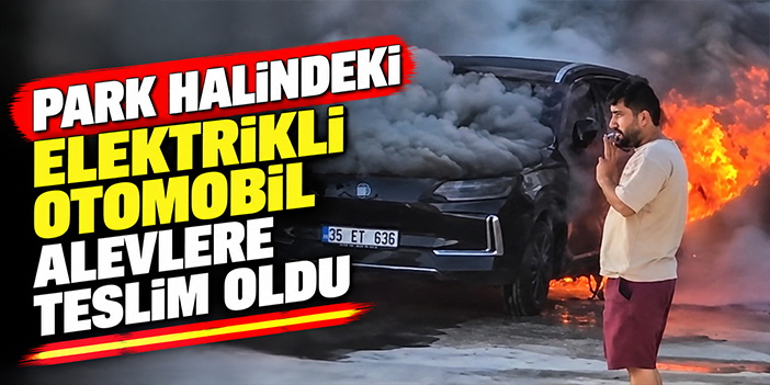 Park halindeki elektrikli otomobil alevlere teslim oldu