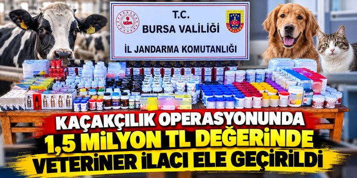 Kaçakçılık operasyonunda 1,5 milyon TL değerinde veteriner ilacı ele geçirildi