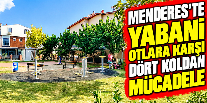 Menderes’te yabani otlara karşı dört koldan mücadele