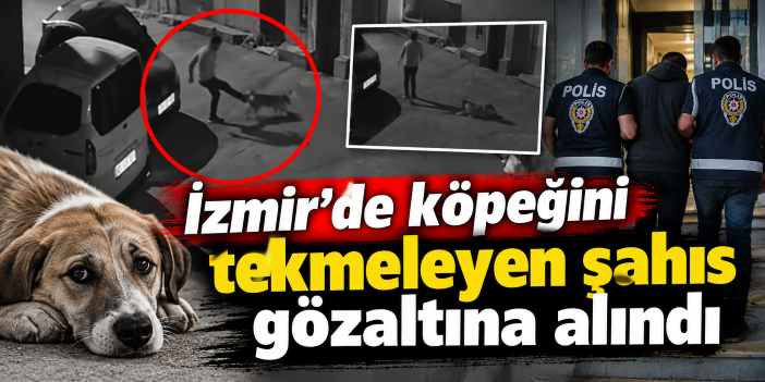 İzmir’de köpeğini tekmeleyen şahıs gözaltına alındı