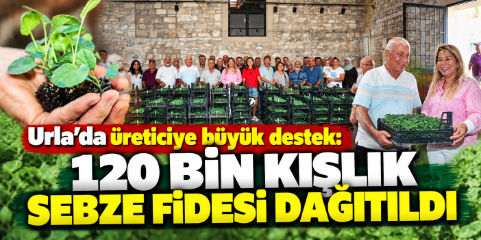 Urla’da üreticiye büyük destek: 120 bin kışlık sebze fidesi dağıtıldı