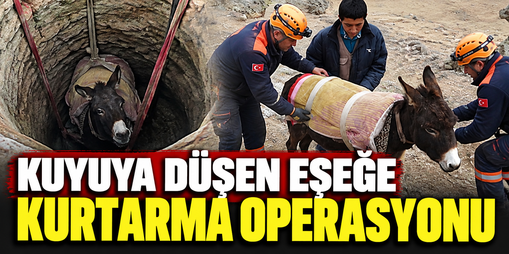 Kuyuya düşen eşeğe kurtarma operasyonu