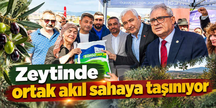 Zeytinde ortak akıl sahaya taşınıyor