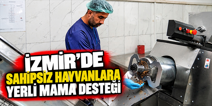 İzmir’de sahipsiz hayvanlara yerli mama desteği