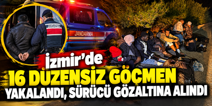 İzmir'de 16 düzensiz göçmen yakalandı, sürücü gözaltına alındı