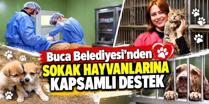 Buca Belediyesi’nden sokak hayvanlarına kapsamlı destek