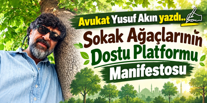 Sokak Ağaçlarının Dostu Platformu Manifestosu