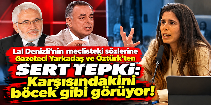 Lal Denizli’nin meclisteki sözlerine Gazeteci Yarkadaş ve Öztürk'ten sert tepki: Karşısındakini böcek gibi görüyor!