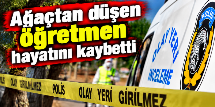 Ağaçtan düşen öğretmen hayatını kaybetti