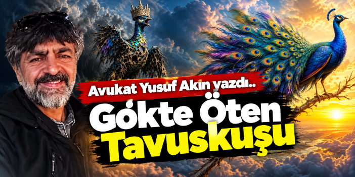 Gökte Öten Tavuskuşu...