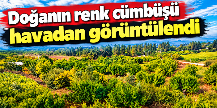 Doğanın renk cümbüşü havadan görüntülendi