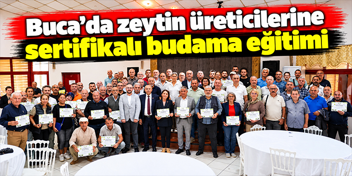 Buca’da zeytin üreticilerine sertifikalı budama eğitimi