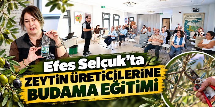 Efes Selçuk’ta Zeytin Üreticilerine Budama Eğitimi