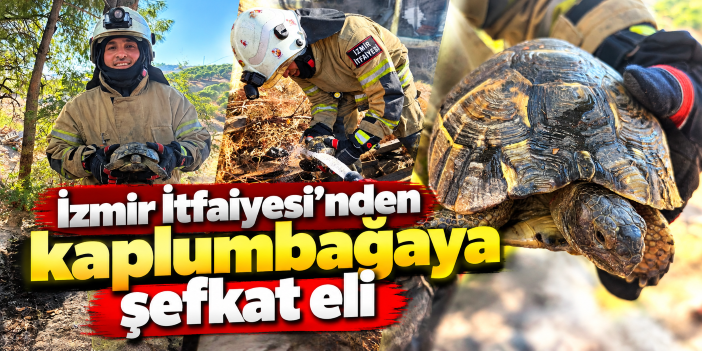 İzmir İtfaiyesi’nden kaplumbağaya şefkat eli