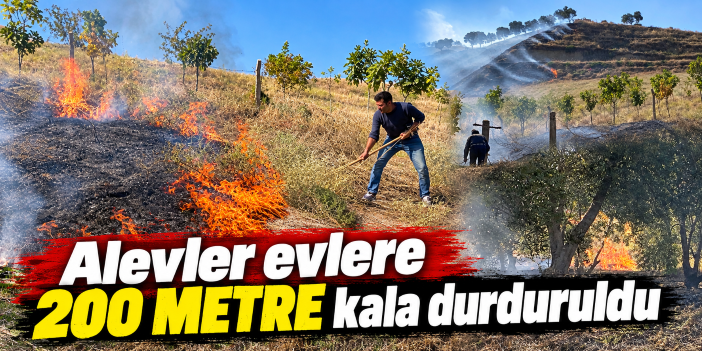 Alevler evlere 200 metre kala durduruldu