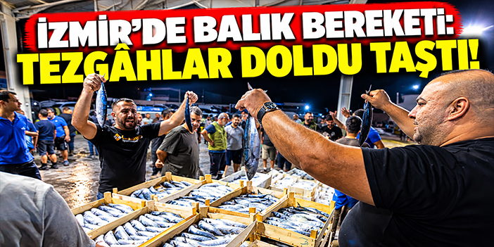 İzmir'de balık bereketi: Tezgâhlar doldu taştı!