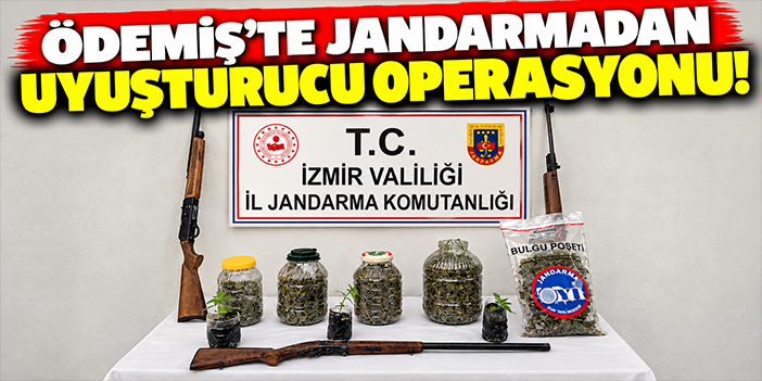 Ödemiş'te jandarmadan uyuşturucu operasyonu!