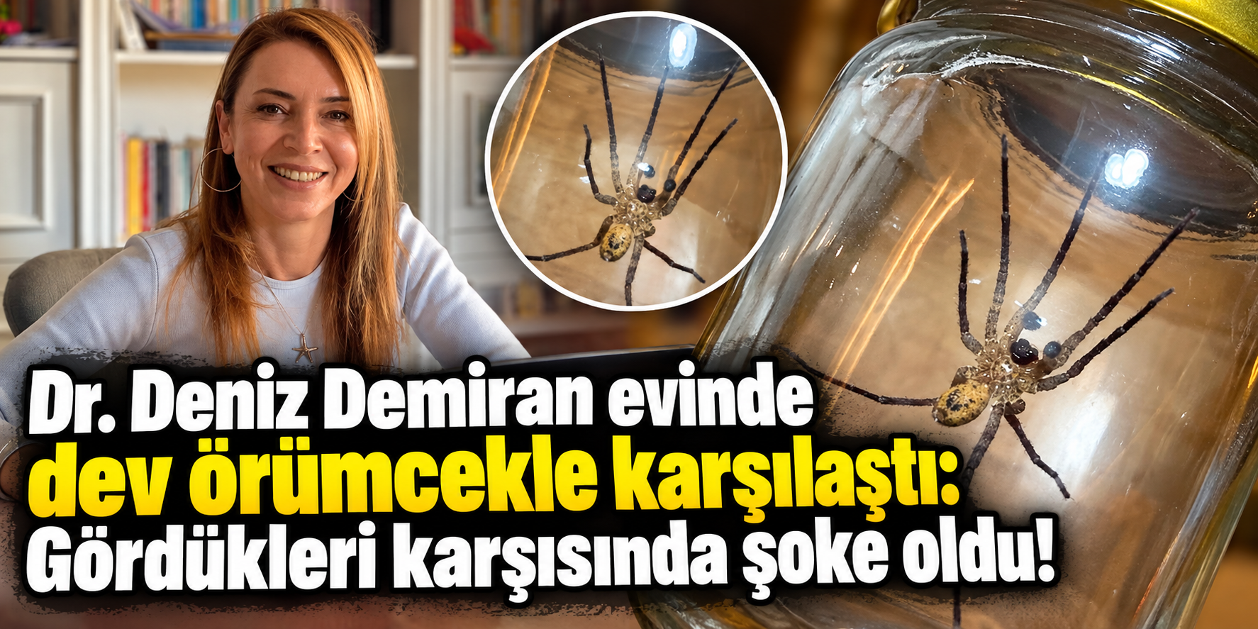 Dr. Deniz Demirhan evinde dev örümcekle karşılaştı: Gördükleri karşısında şoke oldu!