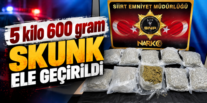 5 kilo 600 gram skunk ele geçirildi