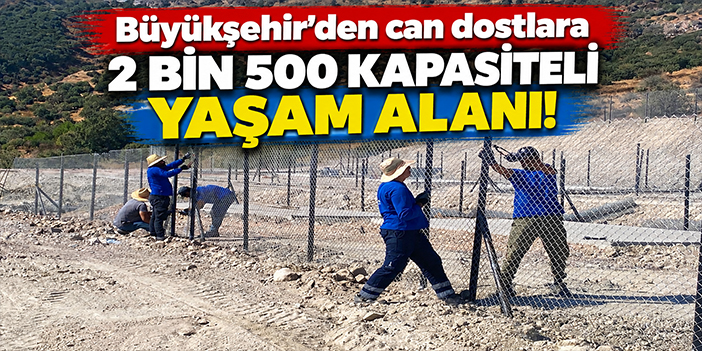 Büyükşehir’den can dostlara 2 bin 500 kapasiteli yaşam alanı