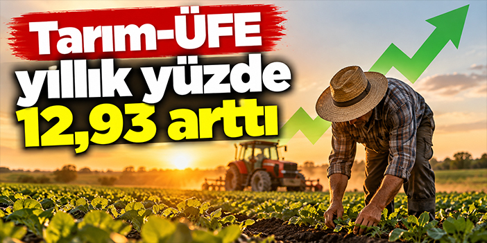 Tarım-ÜFE yıllık yüzde 12,93 arttı
