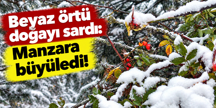 Beyaz örtü doğayı sardı: Manzara büyüledi!