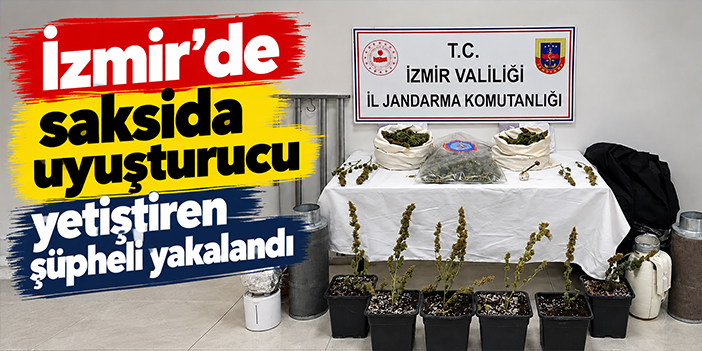 İzmir'de saksıda uyuşturucu yetiştiren şüpheli yakalandı