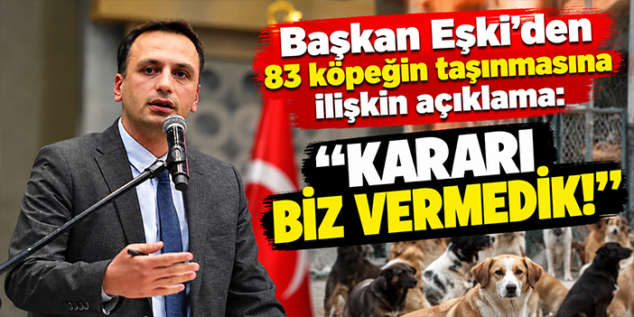 Başkan Eşki'den 83 köpeğin taşınmasına ilişkin açıklama: Kararı biz vermedik!