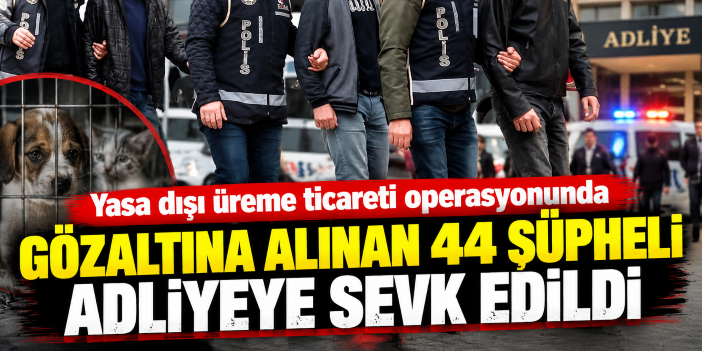 Yasa dışı üreme ticareti operasyonunda gözaltına alınan 44 şüpheli adliyeye sevk edildi