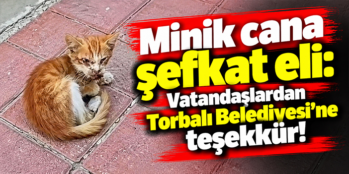 Minik cana şefkat eli: Vatandaşlardan Torbalı Belediyesi'ne teşekkür!