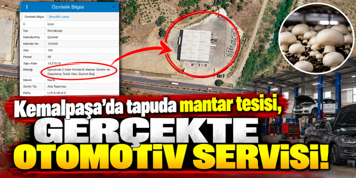 Kemalpaşa’da tapuda mantar tesisi, gerçekte otomotiv servisi!