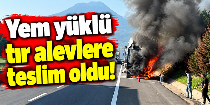 Yem yüklü tır alevlere teslim oldu!