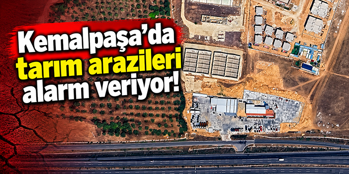 Kemalpaşa’da tarım arazileri alarm veriyor!