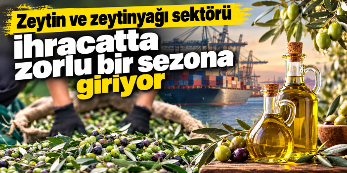 Zeytin ve zeytinyağı sektörü ihracatta zorlu bir sezona giriyor