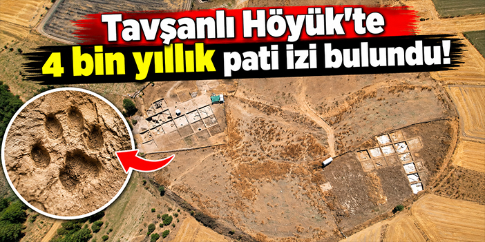 Tavşanlı Höyük'te 4 bin yıllık pati izi bulundu