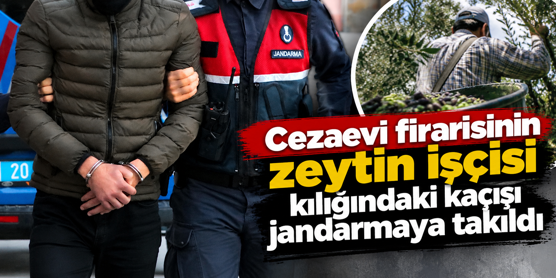 Cezaevi firarisinin zeytin işçisi kılığındaki kaçışı jandarmaya takıldı