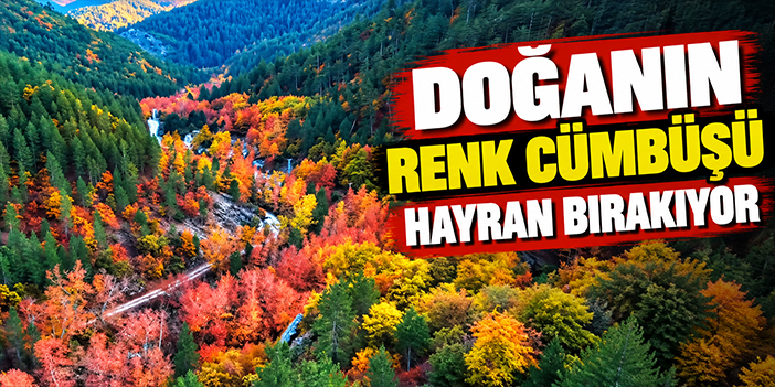Doğanın renk cümbüşü hayran bırakıyor