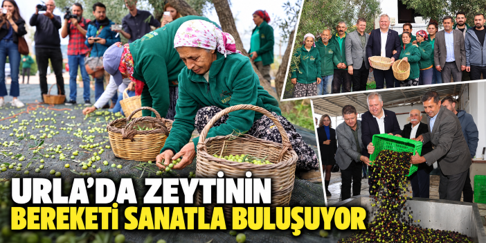 Urla’da zeytinin bereketi sanatla buluşuyor