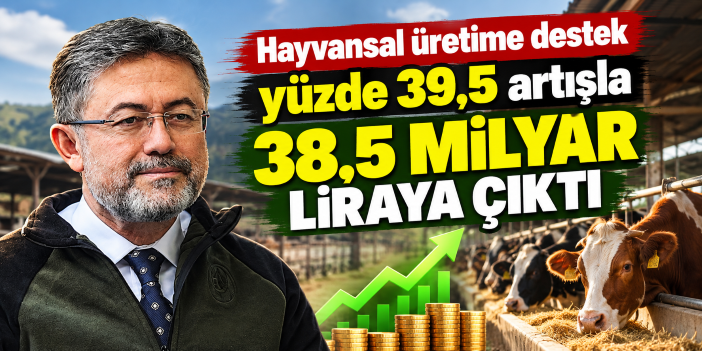 Hayvansal üretime destek yüzde 39,5 artışla 38,5 milyar liraya çıktı