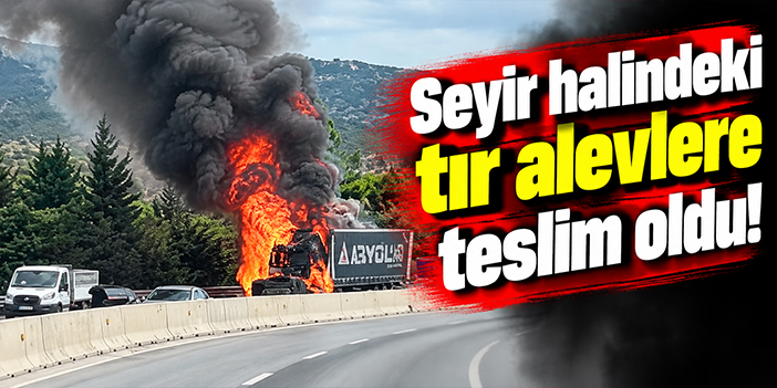 Seyir halindeki tır alevlere teslim oldu