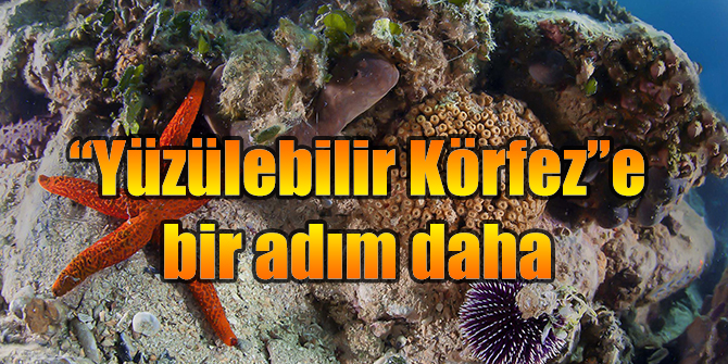“Yüzülebilir Körfez”e bir adım daha