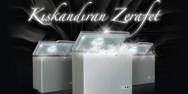 Kıskandıran Zerafet UED 210 Gümüş A++, Satışa Sunuldu