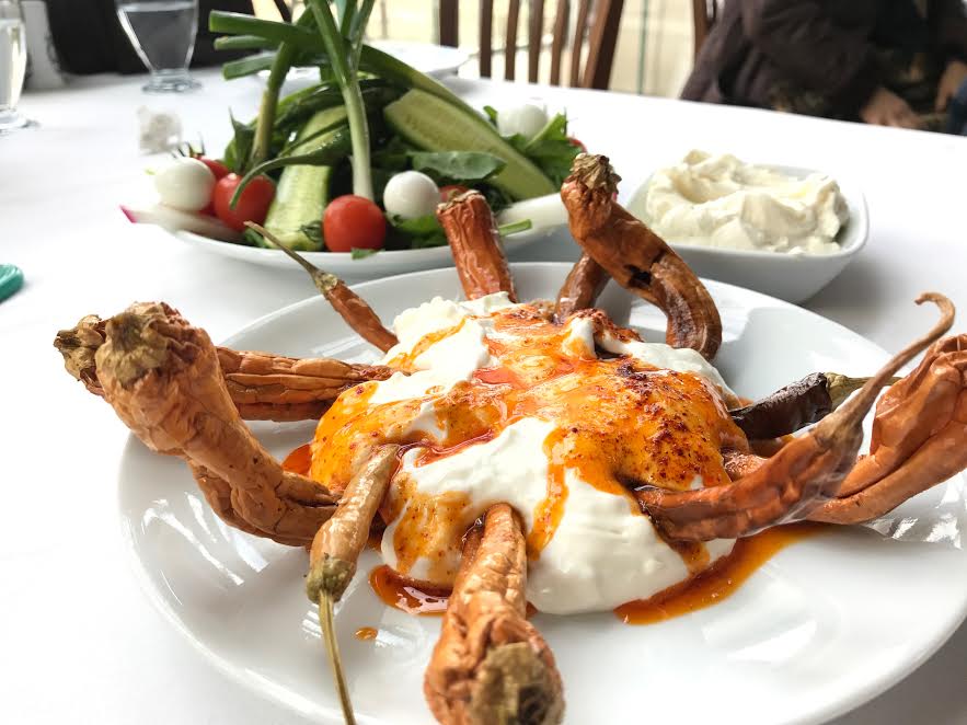 Gurme Avukat Tam Bir lezzet Avcısı